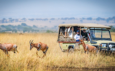 game drive