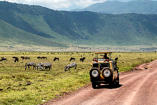 Ngorongoro crater
